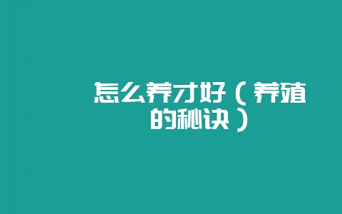 蝾螈怎么养才好(养殖蝾螈的秘诀)-会东网