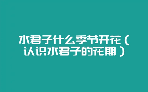 水君子什么季节开花（认识水君子的花期）-会东网