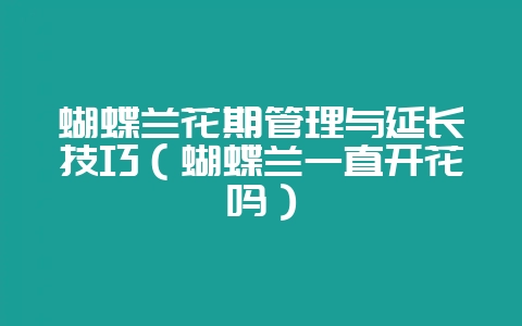 蝴蝶兰花期管理与延长技巧（蝴蝶兰一直开花吗）-会东网