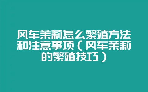 风车茉莉怎么繁殖方法和注意事项(风车茉莉的繁殖技巧)-会东网