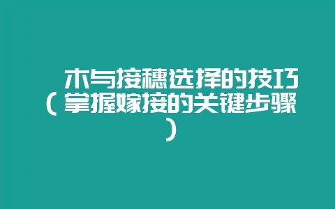 砧木与接穗选择的技巧（掌握嫁接的关键步骤）-会东网