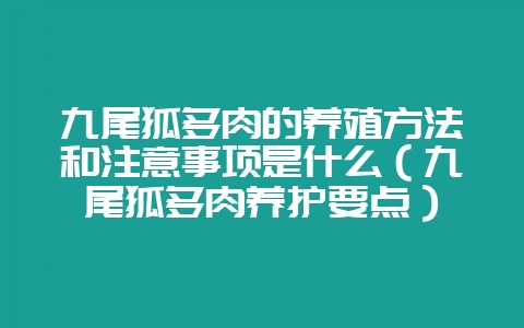 九尾狐多肉的养殖方法和注意事项是什么(九尾狐多肉养护要点)插图 九尾狐多肉的养殖方法和注意事项是什么(九尾狐多肉养护要点)插图