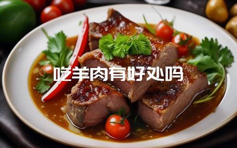 吃羊肉有好处吗-会东网