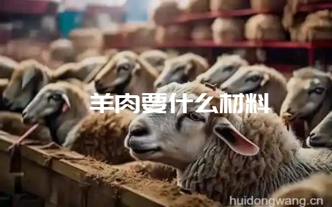 焖羊肉要什么材料-会东网