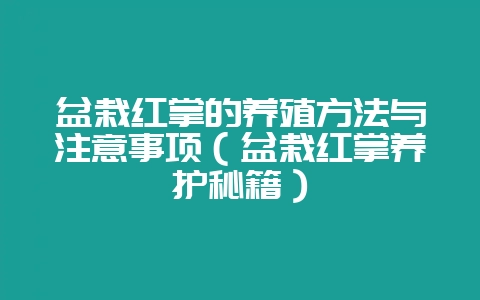 盆栽红掌的养殖方法与注意事项（盆栽红掌养护秘籍）-会东网