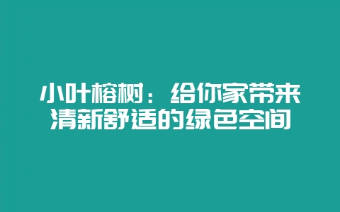 小叶榕树：给你家带来清新舒适的绿色空间-会东网