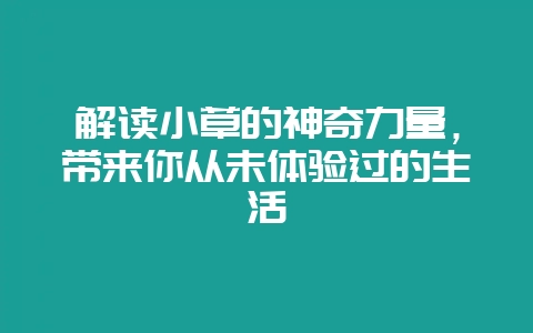 解读小草的神奇力量，带来你从未体验过的生活-会东网