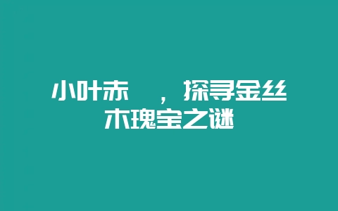 小叶赤楠,探寻金丝楠木瑰宝之谜插图 小叶赤楠,探寻金丝楠木瑰宝之谜插图