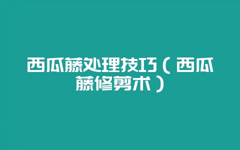 西瓜藤处理技巧（西瓜藤修剪术）-会东网