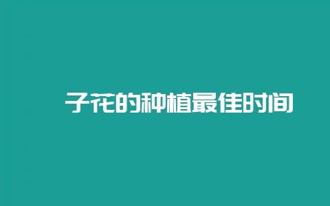 栀子花的种植最佳时间插图 栀子花的种植最佳时间插图