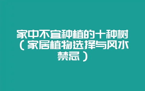 家中不宜种植的十种树(家居植物选择与风水禁忌)插图 家中不宜种植的十种树(家居植物选择与风水禁忌)插图