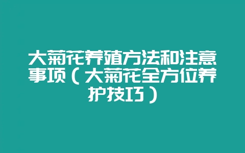 大菊花养殖方法和注意事项（大菊花全方位养护技巧）-会东网