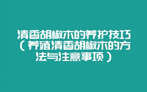 清香胡椒木的养护技巧（养殖清香胡椒木的方法与注意事项）-会东网