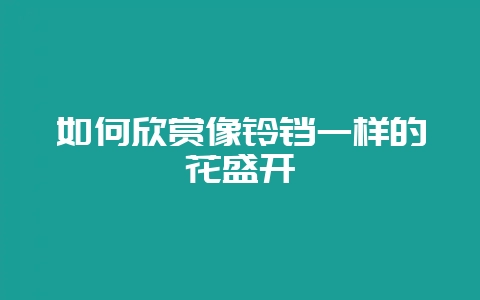 如何欣赏像铃铛一样的花盛开-会东网