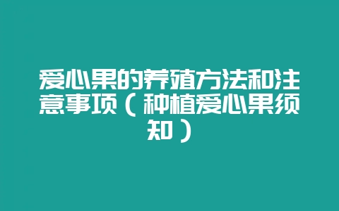 爱心果的养殖方法和注意事项(种植爱心果须知)插图 爱心果的养殖方法和注意事项(种植爱心果须知)插图