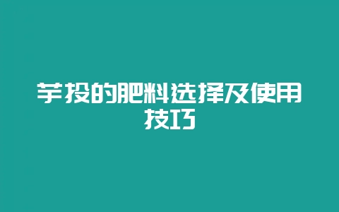 芋头的肥料选择及使用技巧-会东网