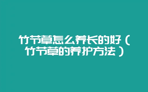 竹节草怎么养长的好(竹节草的养护方法)-会东网