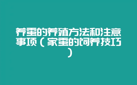养蚕的养殖方法和注意事项（家蚕的饲养技巧）-会东网