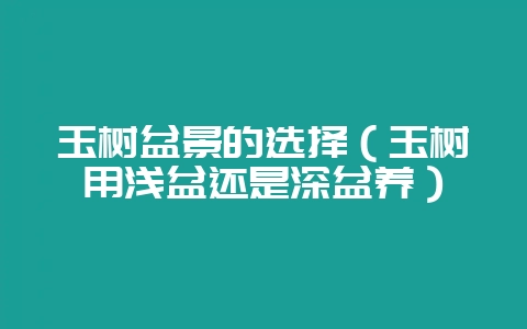 玉树盆景的选择（玉树用浅盆还是深盆养）-会东网