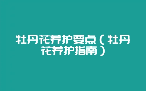 牡丹花养护要点(牡丹花养护指南)插图 牡丹花养护要点(牡丹花养护指南)插图