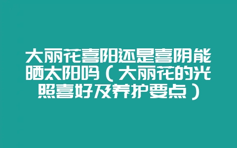 大丽花喜阳还是喜阴能晒太阳吗（大丽花的光照喜好及养护要点）-会东网