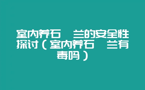 室内养石斛兰的安全性探讨（室内养石斛兰有毒吗）-会东网