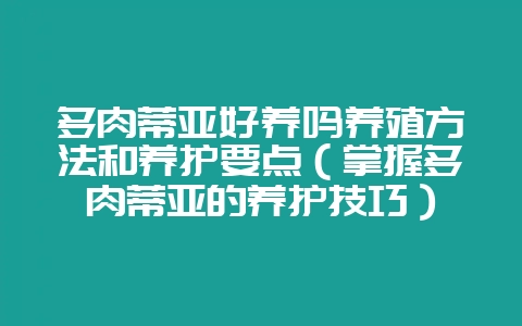 多肉蒂亚好养吗养殖方法和养护要点（掌握多肉蒂亚的养护技巧）-会东网
