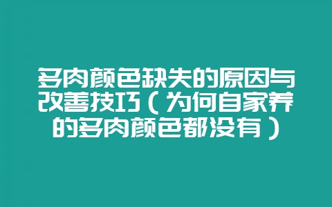 多肉颜色缺失的原因与改善技巧（为何自家养的多肉颜色都没有）-会东网