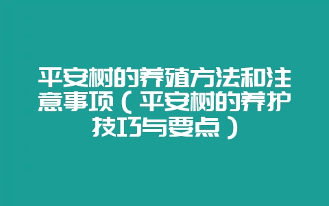 平安树的养殖方法和注意事项(平安树的养护技巧与要点)-会东网