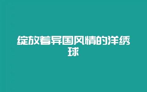 绽放着异国风情的洋绣球插图 绽放着异国风情的洋绣球插图