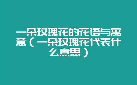 一朵玫瑰花的花语与寓意(一朵玫瑰花代表什么意思)-会东网