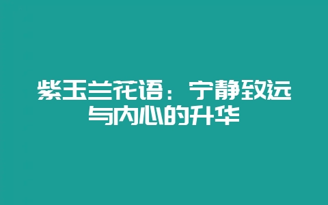 紫玉兰花语:宁静致远与内心的升华插图 紫玉兰花语:宁静致远与内心的升华插图