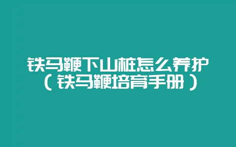 铁马鞭下山桩怎么养护（铁马鞭培育手册）-会东网