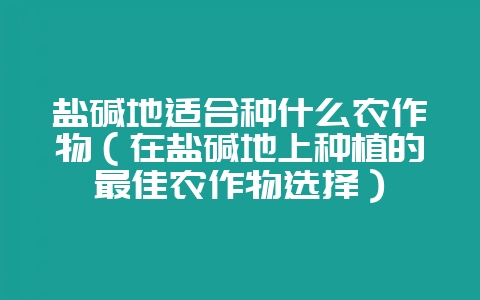 盐碱地适合种什么农作物（在盐碱地上种植的最佳农作物选择）-会东网