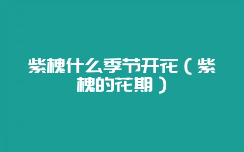 紫槐什么季节开花（紫槐的花期）-会东网