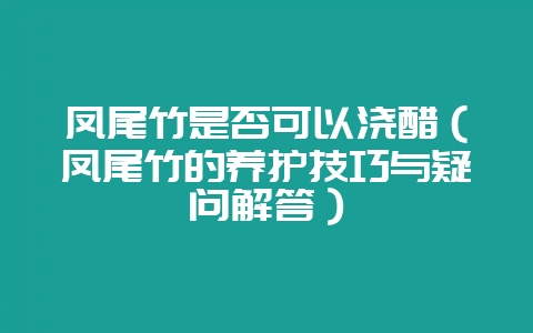凤尾竹是否可以浇醋（凤尾竹的养护技巧与疑问解答）-会东网