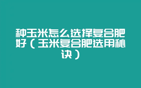 种玉米怎么选择复合肥好（玉米复合肥选用秘诀）-会东网