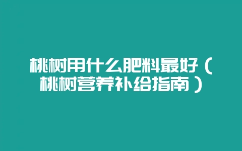 桃树用什么肥料最好（桃树营养补给指南）-会东网