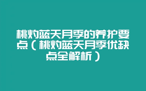 桃灼蓝天月季的养护要点(桃灼蓝天月季优缺点全解析)插图 桃灼蓝天月季的养护要点(桃灼蓝天月季优缺点全解析)插图