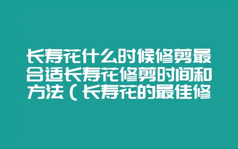 长寿花什么时候修剪最合适长寿花修剪时间和方法（长寿花的最佳修-会东网