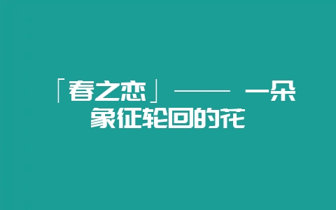 「春之恋」—— 一朵象征轮回的花-会东网