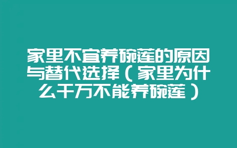 家里不宜养碗莲的原因与替代选择（家里为什么千万不能养碗莲）-会东网