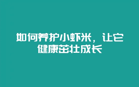 如何养护小虾米，让它健康茁壮成长-会东网