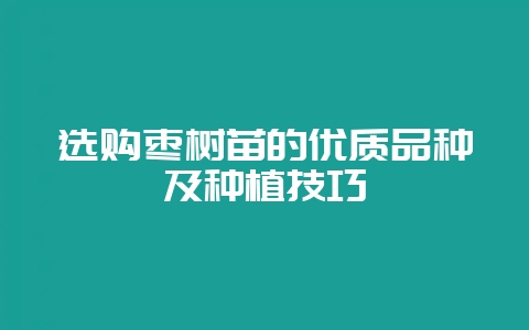 选购枣树苗的优质品种及种植技巧-会东网