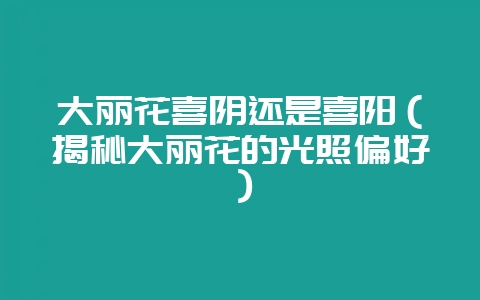 大丽花喜阴还是喜阳（揭秘大丽花的光照偏好）-会东网