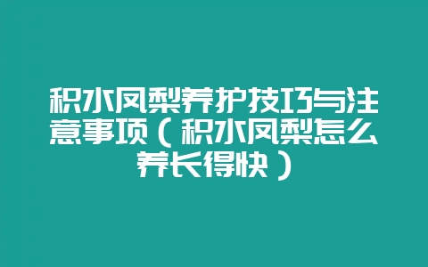 积水凤梨养护技巧与注意事项（积水凤梨怎么养长得快）-会东网