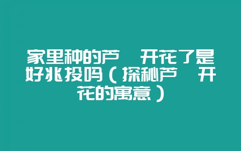 家里种的芦荟开花了是好兆头吗（探秘芦荟开花的寓意）-会东网