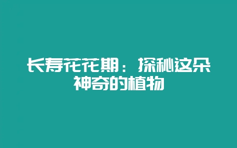 长寿花花期:探秘这朵神奇的植物插图 长寿花花期:探秘这朵神奇的植物插图