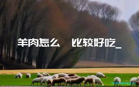 羊肉怎么炖比较好吃_-会东网