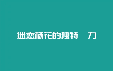 迷恋杨花的独特魅力插图 迷恋杨花的独特魅力插图